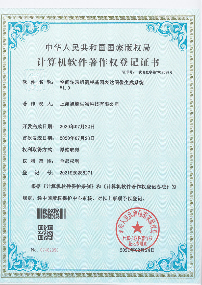 空間轉(zhuǎn)錄組測(cè)序基因表達(dá)圖像生成系統(tǒng)