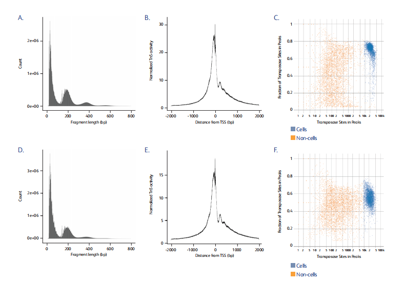 20250613316068.png image.png