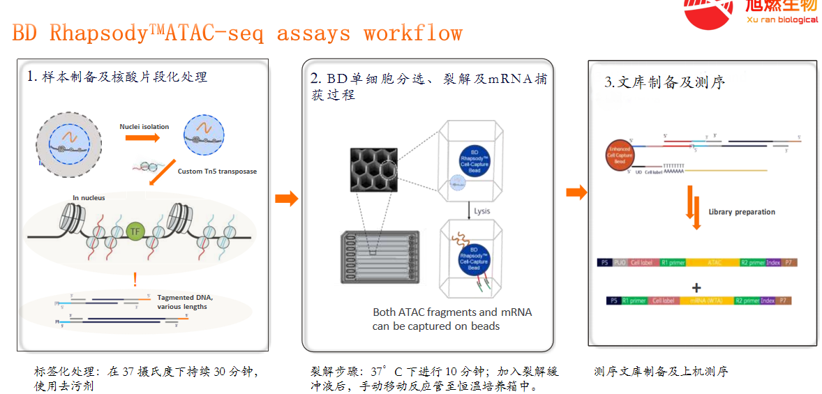 20250613456438.png image.png