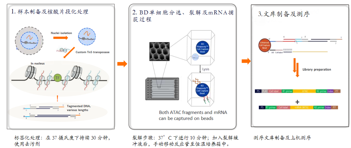 20250613506354.png image.png