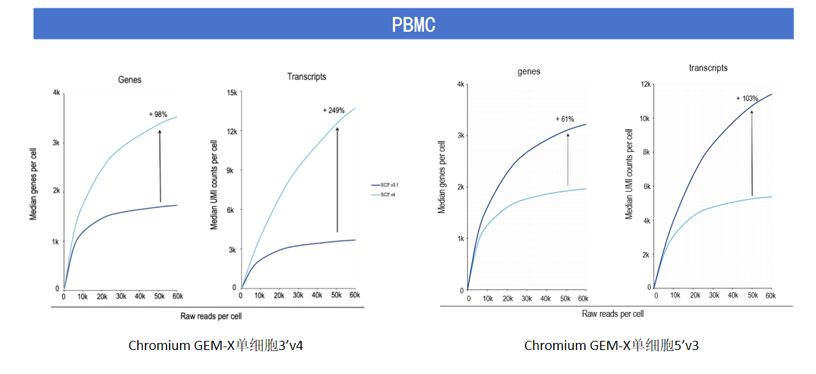 GEM-X單細(xì)胞測序方案