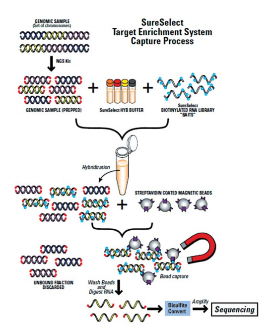 20250627111843.png image.png