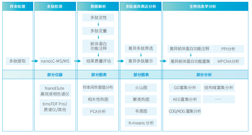 20250701241021.png image.png