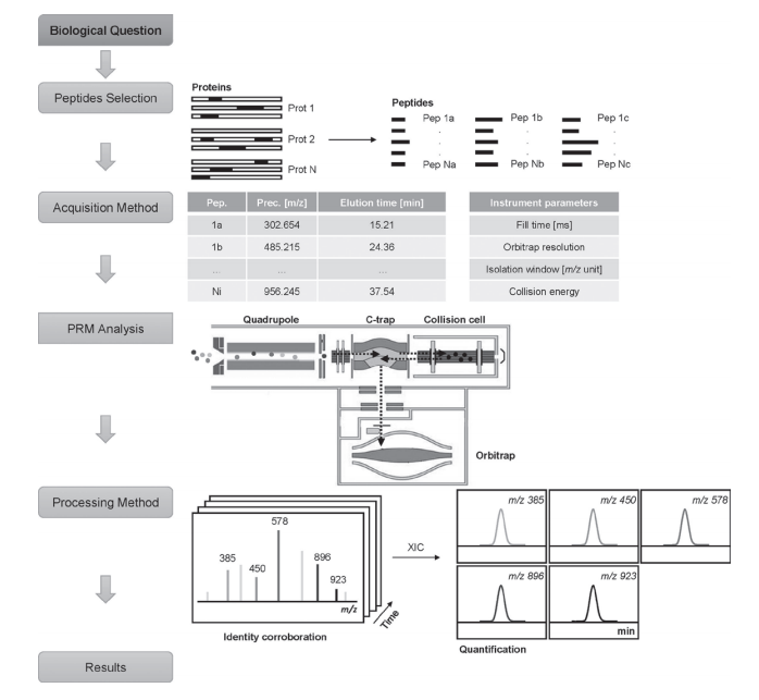 20250701674738.png image.png