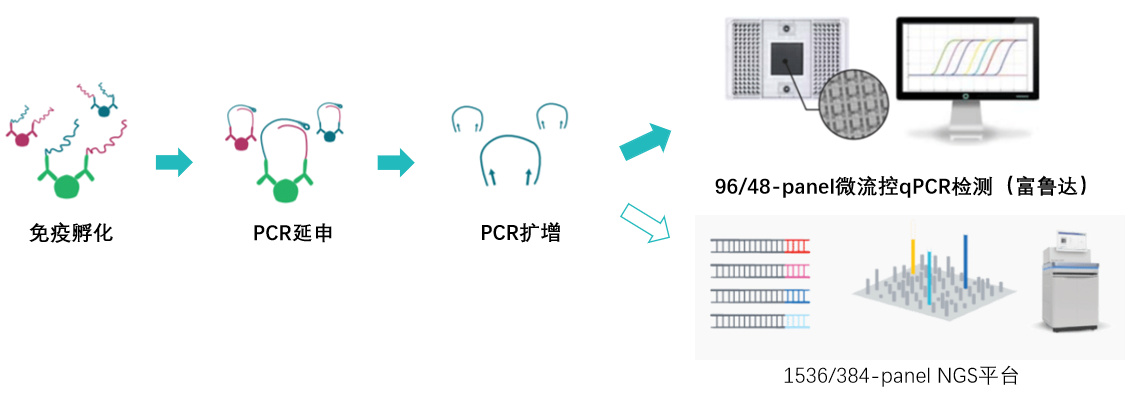 Olink蛋白組學(xué)